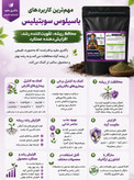 قارچ کش زیستی جامد باسیلوس سوبتیلیس کروا