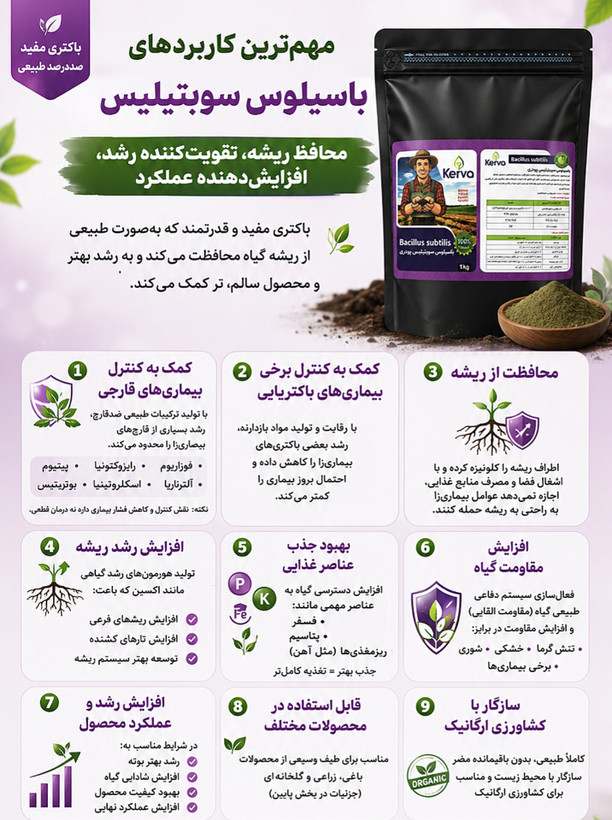قارچ کش زیستی جامد باسیلوس سوبتیلیس کروا